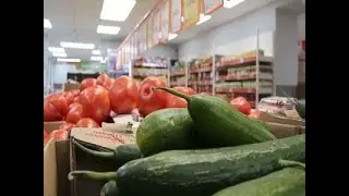 Вести Ямал. Жительница Ямала стала жертвой… огурцов - Вести 24