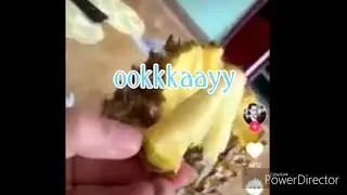 How to eat pineapple correctly?