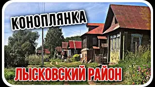 деревня Коноплянка. Лысковский район. Нижегородская область