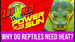 Power of the Sun - What is Infrared (IR)?