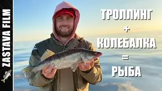 Рыбалка Троллингом и Колебалка на Рыбинском водохранилище дали МНОГО рыбы 2020.