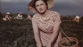 Виктория Иванова Чудный май Х Ф Стрекоза