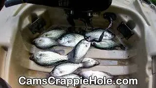 CRAPPIE DO NOT COUNT UNLESS THEY ARE IN THE BOAT! DONT LOOSE CRAPPIE AGAIN  NASTY BEND HOOKS
