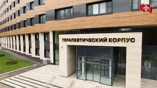 Пятый терапевтический.  Возрождение.