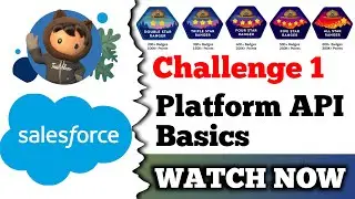 Platform API Basics | Salesforce Trailhead | Get to Know the Salesforce Platform APIs