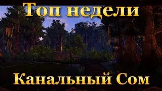 Fishing Planet. Топ Недели (Уникальный Канальный Сом)