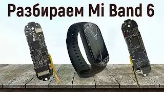Разборка фитнес-трекера Xiaomi Mi Band 6 disassemble fitness tracker