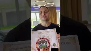 Мы теперь официальный питомник по разведению американских буллей : Alfa bulls kennel