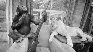 23 Animal Photos You Won't Believe Actually Exist
