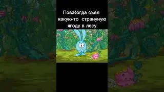 мем 