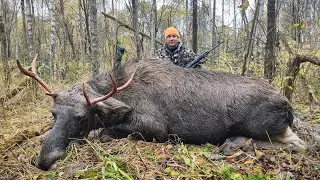 Охота НА ЛОСЯ. Первый лось он трудный самый?