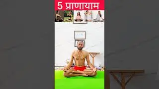 5 best Pranayam ll #yog #yoga #yogi #hatha #hathayoga #yogini #fit #fitness #uk #usa #mumbai #delhi