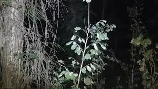 Ban4spati yg gan4s 