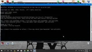 ORA-01031 “Insufficient Privileges” error - Oracle DBMS
