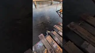 Вечерняя прогулка по Витимскому мосту