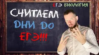 До ЕГЭ две недели – БЕЗ ПАНИКИ | БИОЛОГИЯ ЕГЭ