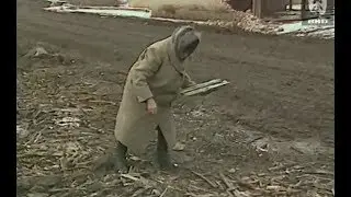 Чечня. Сюжет из программы 