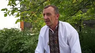 білі ослави