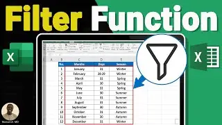 How to Create a Filter in Excel Sheet - Full Guide