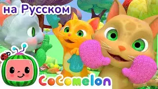 Котятки и перчатки | НОВАЯ СЕРИЯ | CoComelon на русском — Детские песенки | Мультики для детей