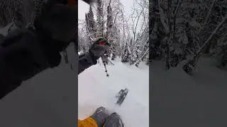 Сколько снега в лесах Шерегеша на 24.11.2025? 