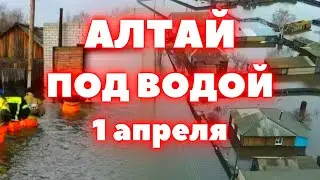 Наводнение в Алтайском крае дома под водой! Москва наводнение сегодня затопленные мосты Подмосковье