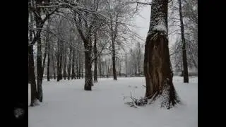Русский обзор, Грязовец клип 2016,музыка А.Матис, в Вологду через Грязовец