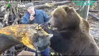 12. 11. 2022 г     15: 08         Папа вкусняшки принёс.  Мансур.