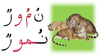تعليم القراءة والكتابة كلمات مع المد بالواو