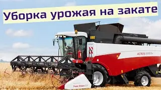 Уборка урожая на закате и бонус Дрифт комбайнера
