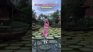 НЕОБЫЧНОЕ КАФЕ С ОГРОМНЫМИ КУВШИНКАМИ