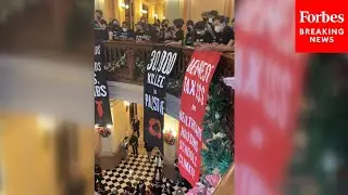 SHOCK VIDEO: Pro-Palestinian Protesters Shut Down Californias State Capitol