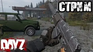 DAYZ | 2K | АТМОСФЕРНОЕ ВЫЖИВАНИЕ В СОЛО! VK PLAY, ССЫЛКА В ОПИСАНИИ, ПОДПИШИСЬ!