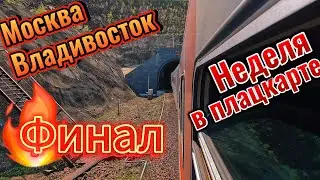 Поезд Москва Владивосток / неделя в плацкарте / финал