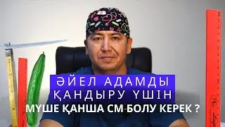 Әйел адамды қандыру үшін мүшенің размері қанша см болуы қажет ?