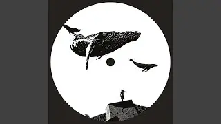 Confusion Of Sound