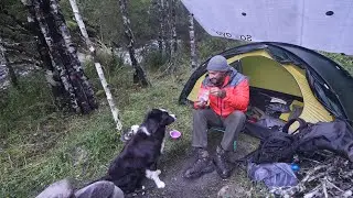 Camping In Rain By River With Dog And Tent