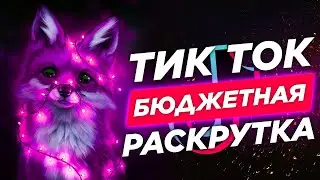 Можно ли быстро, недорого и комплексно раскрутить Tik Tok аккаунт