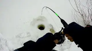 ПОД НОВЫЙ ГОД РЫБАЛКА НА ЗАПРЕЩЕННОМ ОЗЕРЕ!