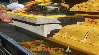 Happy Mahashivaratri to you. |May you be blessed with all the good things in life by Lord Shiva