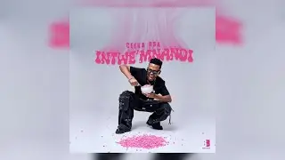 Ceeka RSA - Intwe'Mnandi || Album Mix By Fest Jr || Mixed On Crossdj