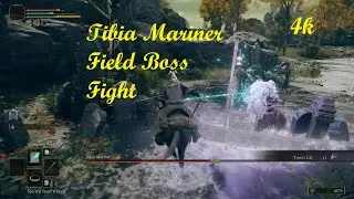 Tibia Mariner Field Boss Fight Elden Rin 4k