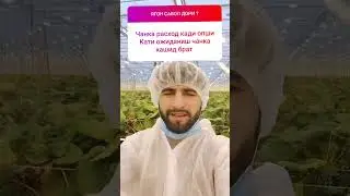 таджик появился в Англии хочется спонсировать весь таджик