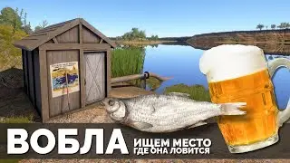 Русская Рыбалка 4 - Стрим. Вобла ищем где ловить на Ахтубе.
