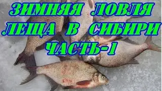 Зимняя ловля леща в Восточной Сибири.Часть-1.