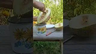Дыня - просто мёд) Впервые в жизни!)