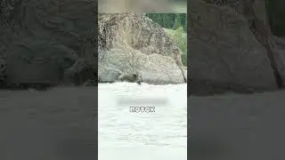Лошадь провалилась в ЛЕДНИКОВЫЕ случилось ЧУДО🐎❄️🌊