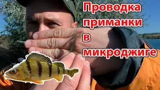 Ловля окуня на микроджиг Проводка приманки