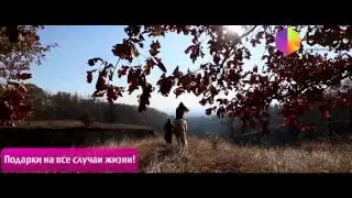 Подарки на все случаи жизни от Бодо!