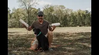 TOP 10 Retriever TRAINING Mistakes to AVOID #1 - Gunfire Intro!!!